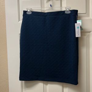 Leota pencil skirt from Stitch fix- Navy blue